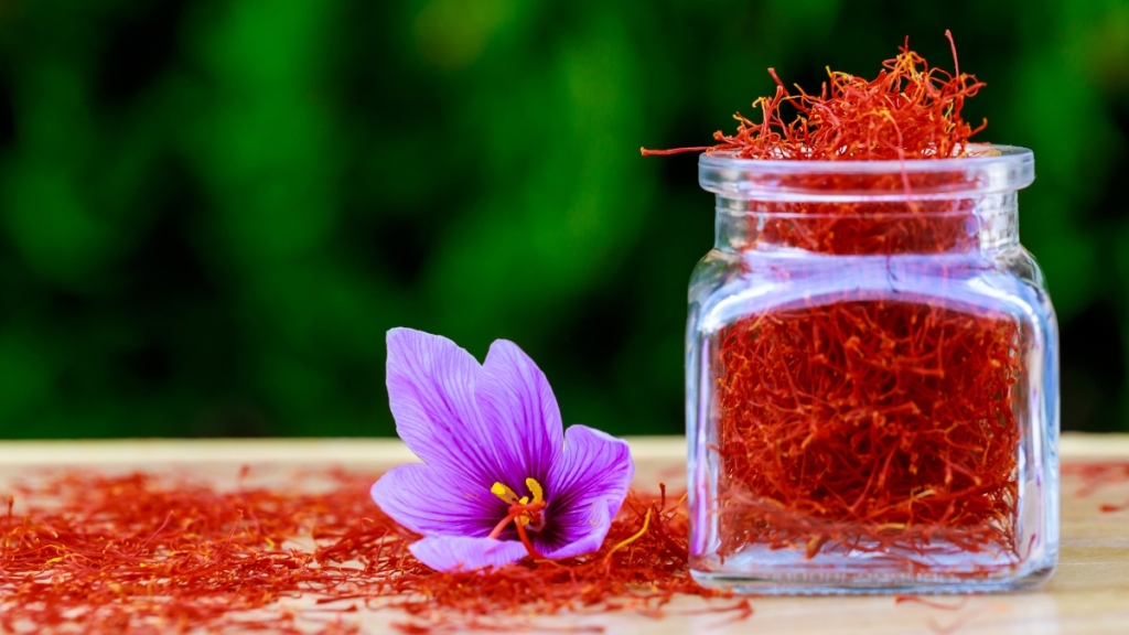 Jar of saffron threads next to a crocus flower