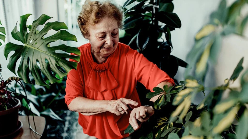 An older adult woman looking and pointing at her smartwatch on her wrist among houseplants