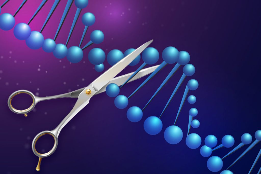 Researchers discover new RNA-guided genome editing system