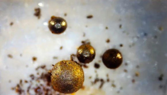 Small meteorite spherules from the most probable path of IM1.  Image credit: Avi Loeb, Harvard University/Project Galileo.